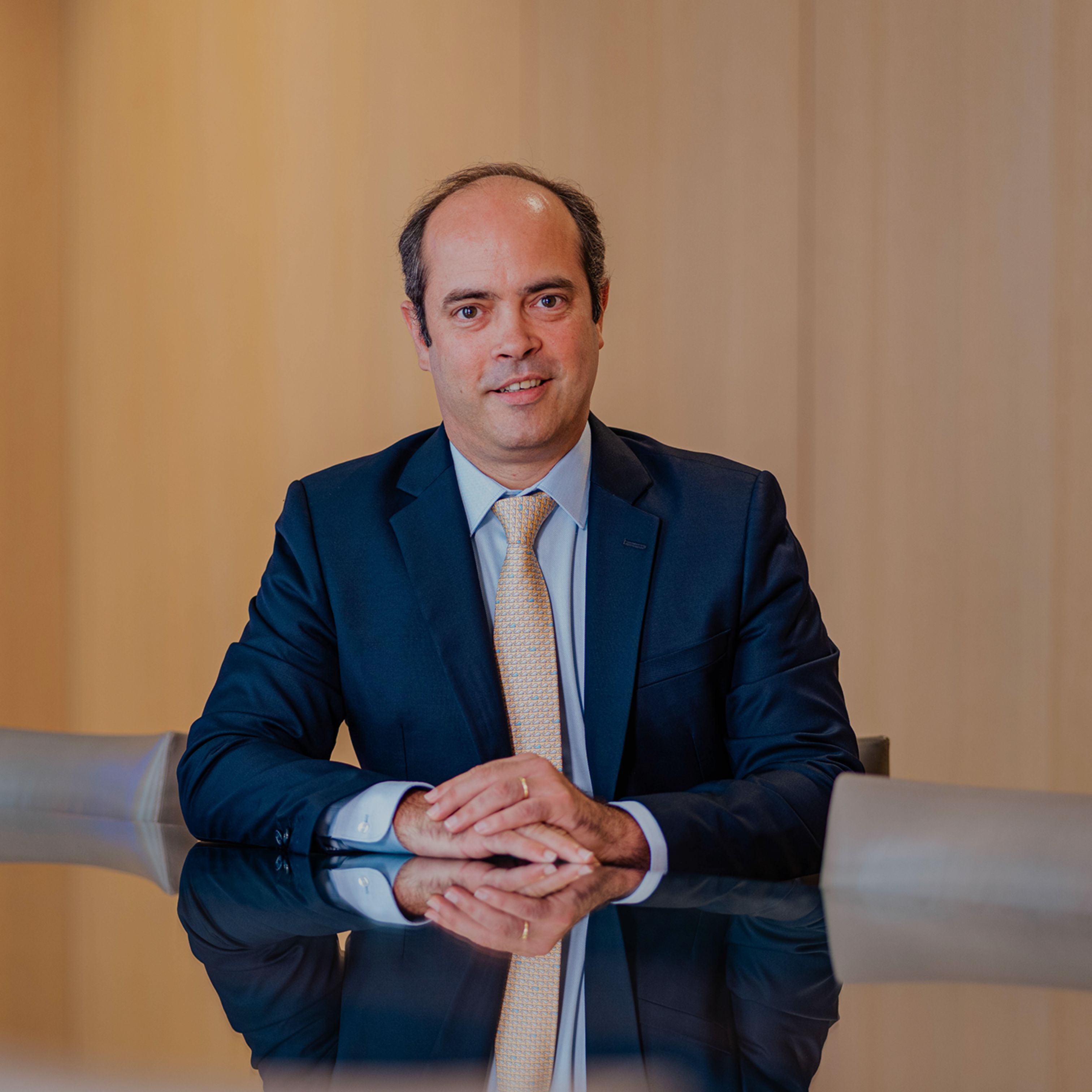 Vincent Mary, Pulsim & Partners